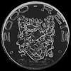 Brazilian Silver 2000 Reis (Colonization) (Reverse)