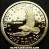 United States "Sacagawea" Dollar (Reverse)