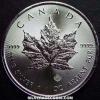 Elizabeth II Canadian 5 Dollars 1 Ounce Silver Maple Leaf (rays) (Reverse)