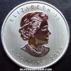Elizabeth II Canadian 5 Dollars 1 Ounce Silver (Peregrine Falcon) (Obverse)